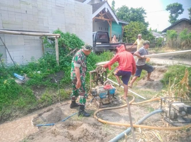 
					Dukung Ketahanan Pangan, Babinsa Aktif Dampingi Petani Desa Binaan